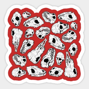 Animal Skulls Sticker